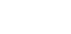 Dollar Income Today
